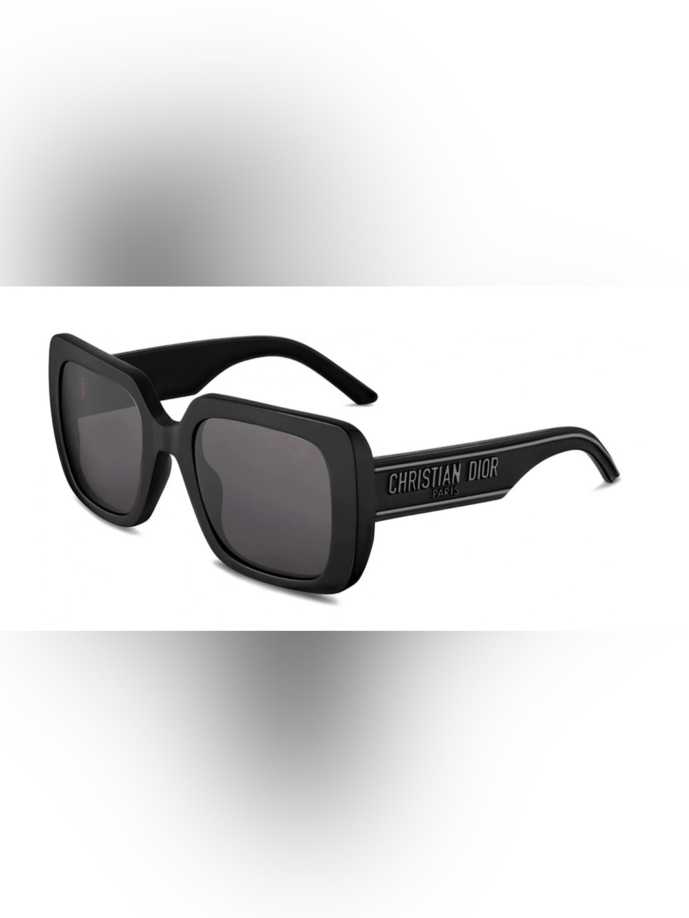 Dior Wildior S3U Sunglasses